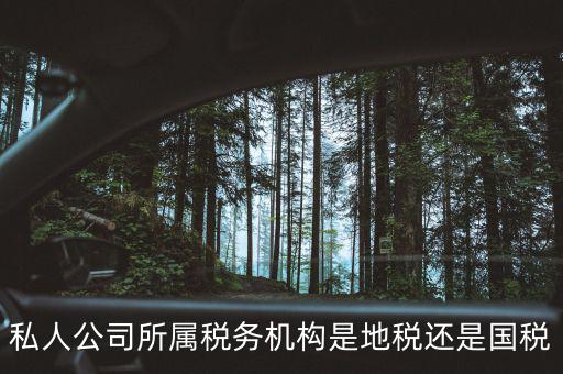 私人公司所屬稅務機構是地稅還是國稅