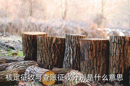 什么企業(yè)實行核定征收，企業(yè)所得稅可以核定征收嗎