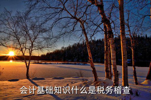 什么是稅收督察內(nèi)審工作，內(nèi)審監(jiān)察主要工作職能