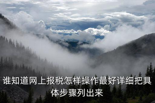 成品油消費(fèi)稅在什么系統(tǒng)申報(bào)，請(qǐng)教網(wǎng)上報(bào)稅步驟謝謝大家了