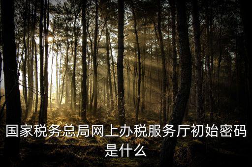 江蘇地稅登錄密碼是什么意思，江蘇地稅開票密碼是多少