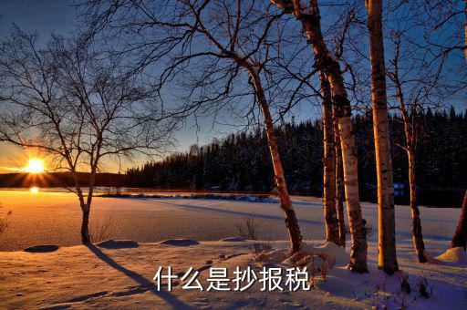 什么是抄稅報(bào)稅申報(bào)，抄稅和報(bào)稅是什么意思 應(yīng)該怎么做呢
