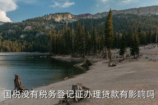 國(guó)稅未實(shí)名會(huì)影響什么，稅務(wù)未實(shí)名認(rèn)證對(duì)負(fù)責(zé)人有影響么