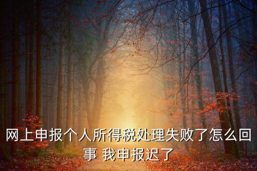 稅款處理失敗什么意思，扣繳稅款失敗提示銀財通處理失敗FAPP00444要怎樣處理才可以扣款