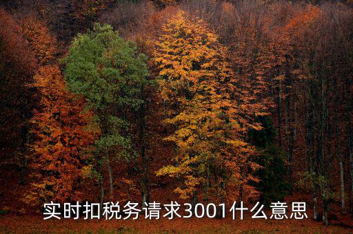 實時扣稅務請求3001什么意思