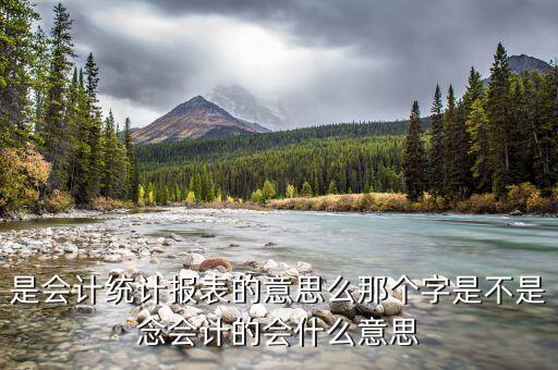 統(tǒng)計納稅申報表是什么，請問納稅申報中的基礎表數(shù)據(jù)中的基礎表是指什么