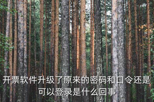 金稅盤開票密碼和口令是什么意思，口令和密碼有什么區(qū)別