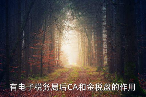 電子稅務(wù)局有什么用，有電子稅務(wù)局后CA和金稅盤的作用