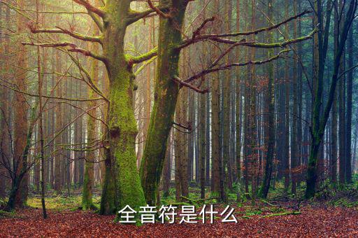 一戶式是什么，服裝SKU是指什么有什么實(shí)際應(yīng)用意義