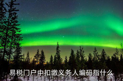 扣繳義務(wù)人識別碼是什么，易稅門戶中扣繳義務(wù)人編碼指什么