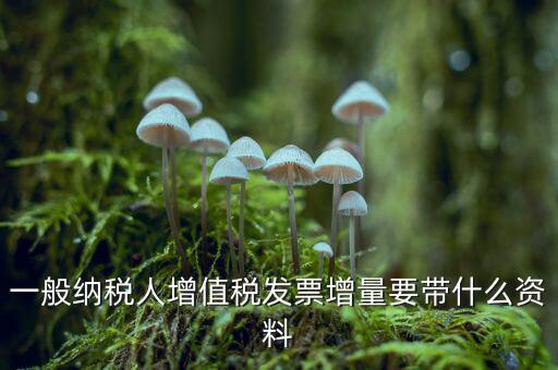 增加開票人需要什么資料，申請開票人變更需要哪些材料