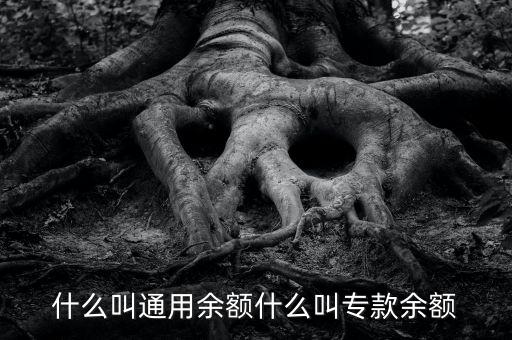 什么叫通用余額什么叫?？钣囝~