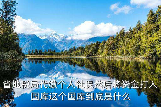 庫地稅是什么意思，地稅報表未入庫什么意思