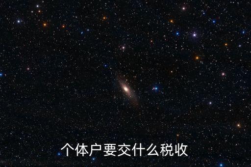 個體地稅交什么稅，個體戶要交什么稅收