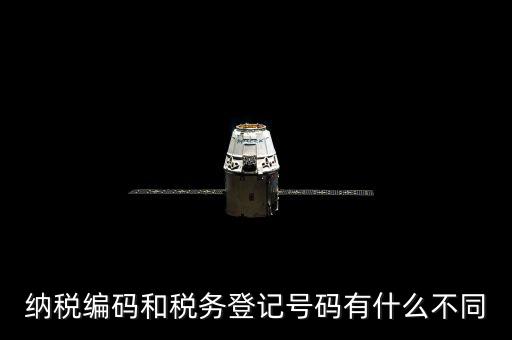 個(gè)人納稅編號(hào)是什么意思，納稅編碼和稅務(wù)登記號(hào)碼有什么不同