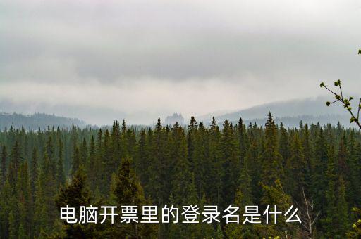 電子稅務(wù)局登錄賬號是什么意思，企業(yè)金稅盤系統(tǒng)用來開票抄稅報稅用那登錄國稅地稅局網(wǎng)站是干嘛的