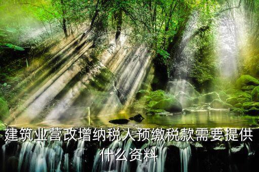 預(yù)繳增值稅要什么資料，在外地有個工程想用人工費發(fā)票增值稅來抵預(yù)交稅款的增值稅需