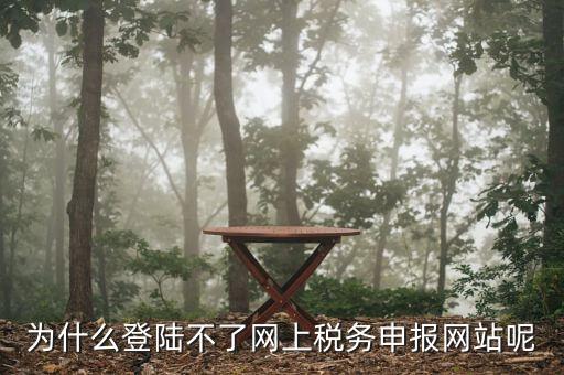 申報(bào)個(gè)稅登錄不上去是什么原因，為什么我的個(gè)人所得稅總是登不上去