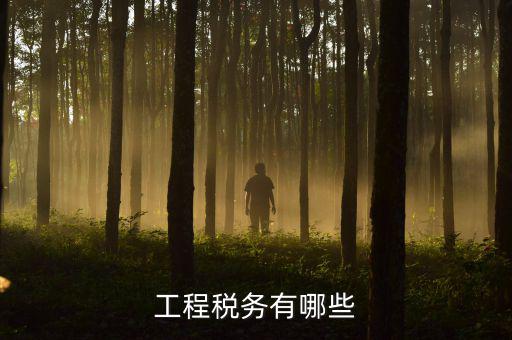 稅務(wù)三代項目是什么，通常說的三稅是指什么啊