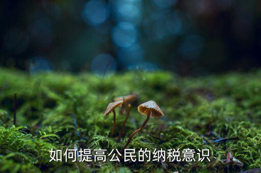 什么是納稅漫畫宣傳，魁拔第一部的投入官方說(shuō)是3500萬(wàn)一部動(dòng)漫為什么投資那么大都花