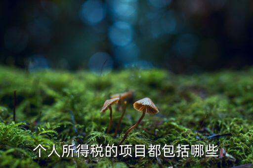 所得項目填什么，個人所得稅必須要填寫六項嗎我沒一項符合