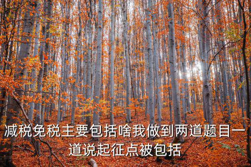 什么是減稅免稅，什么是稅收法定減免
