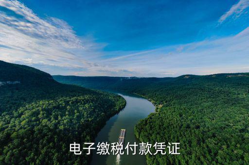 電子繳費(fèi)憑證是什么，電子繳稅付款憑證