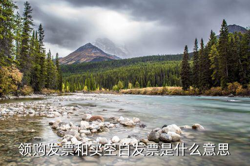 領(lǐng)取空白發(fā)票需要什么用，領(lǐng)用增值稅發(fā)票的時候內(nèi)開的空白發(fā)票要帶嗎