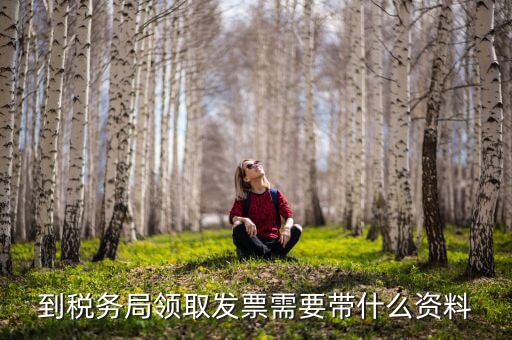 領(lǐng)發(fā)票需要帶些什么，去稅務(wù)局領(lǐng)發(fā)票需要帶什么資料去