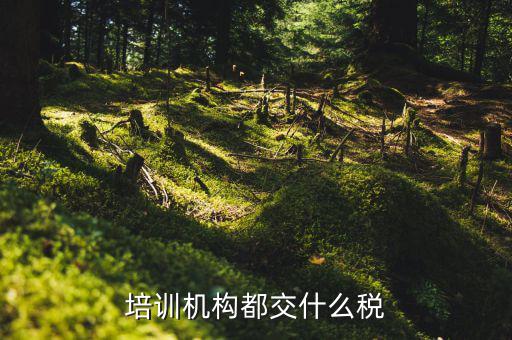 2017培訓機構交什么稅，培訓機構需要交稅的種類有多少
