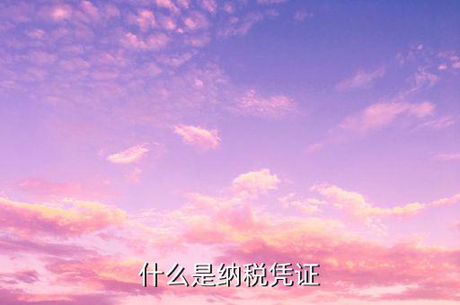增值稅納稅憑證是什么，什么是納稅憑證