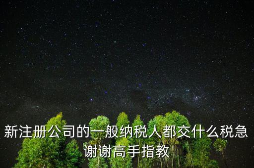 新注冊(cè)公司是什么納稅人，新辦企業(yè)是一般納稅人還是小規(guī)模納稅人