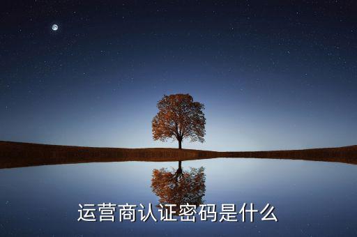 網(wǎng)上認證密碼密碼是什么，一般上網(wǎng)認證系統(tǒng)初始密碼是什么