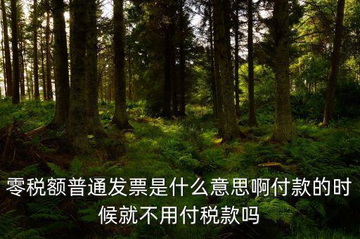 什么叫0稅率發(fā)票，零稅額普通發(fā)票是什么意思啊付款的時(shí)候就不用付稅款嗎