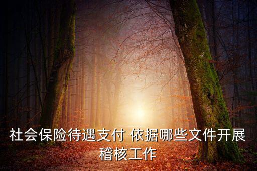 聯(lián)合稽查工作應(yīng)遵循什么，稅務(wù)稽查工作底稿必須包括哪些內(nèi)容