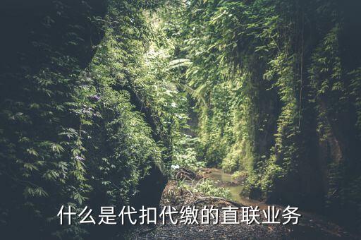 什么是代扣代繳的直聯(lián)業(yè)務