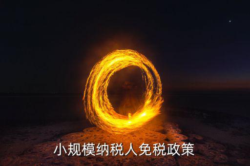 小規(guī)模納稅人免什么稅，小規(guī)模公司開發(fā)票3萬以下免稅 免什么稅還需要別的發(fā)票來抵扣嗎