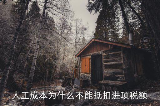 為什么不能抵扣進項稅，人工成本為什么不能抵扣進項稅額
