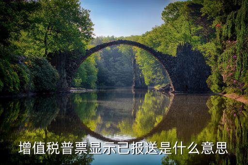 什么是報送報告，什么是報送審計