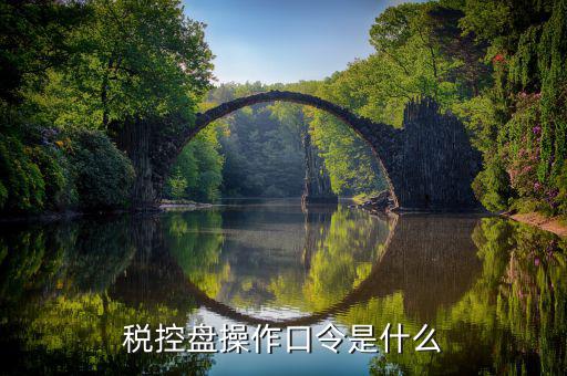 金稅盤的密碼和口令是什么，愛信諾金稅盤初始密碼和口令是多少