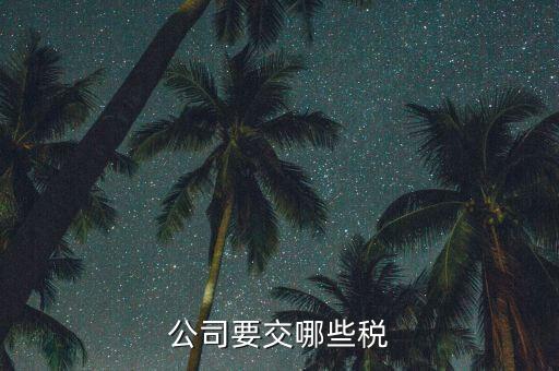 企業(yè)要交什么稅2017，公司要交哪些稅