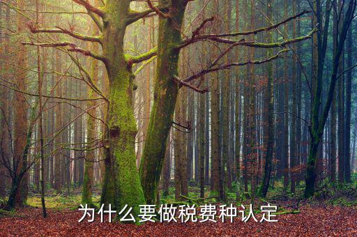 什么時(shí)候稅種認(rèn)定，稅費(fèi)種認(rèn)定時(shí)間如何確定