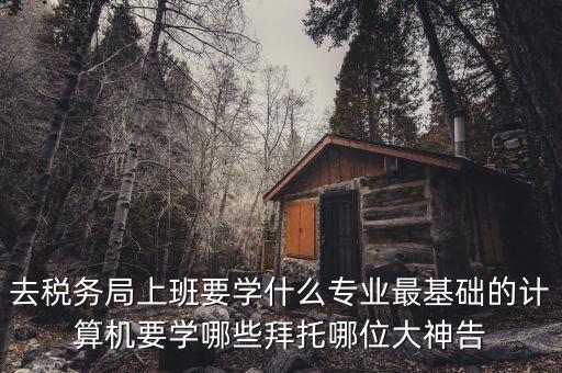 去稅務局上班要學什么專業(yè)最基礎的計算機要學哪些拜托哪位大神告