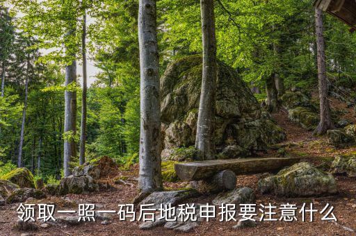領取一照一碼后地稅申報要注意什么