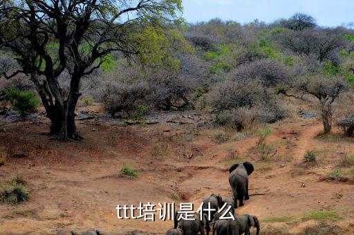 納稅人學(xué)堂培訓(xùn)干什么，去各種培訓(xùn)班做老師有前途么