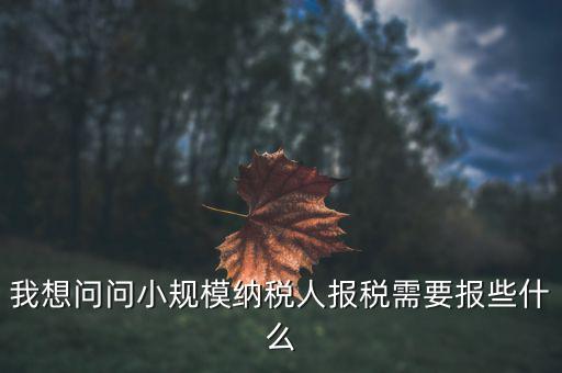 小規(guī)模國稅申報些什么，小規(guī)模納稅人國稅需要報什么資料