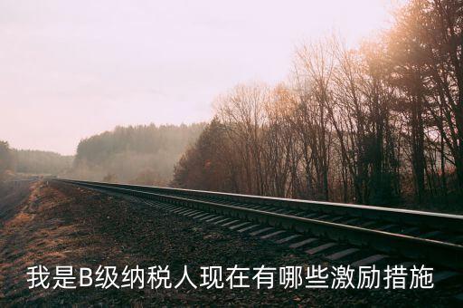 稅務(wù)信用等級b有什么用，企業(yè)納稅信用等級有何用處