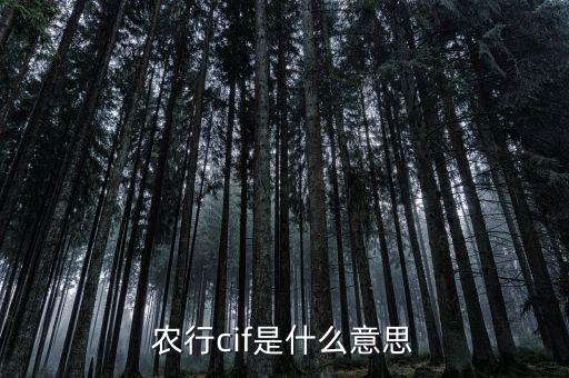 金稅四期是什么，什么是金關(guān)金橋金卡金稅