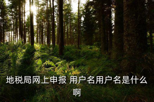地稅申報(bào)用戶名是什么，地稅申報(bào)的用戶名和密碼是什么