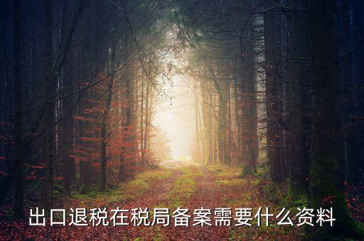 出口退稅備份什么格式，出口退稅單證備案